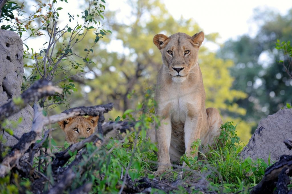 50 Places to Go in 2018