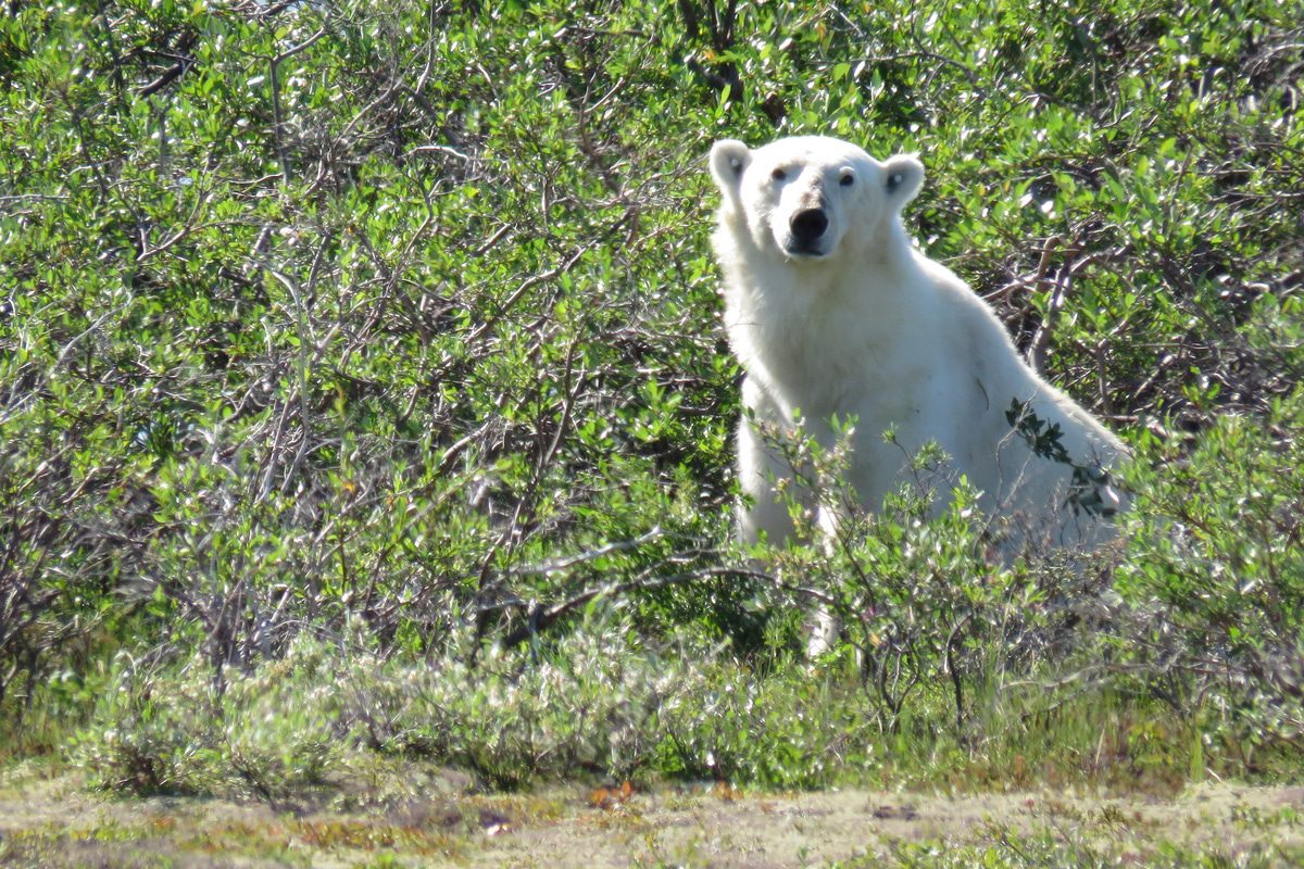 Trips with College-Age Kids