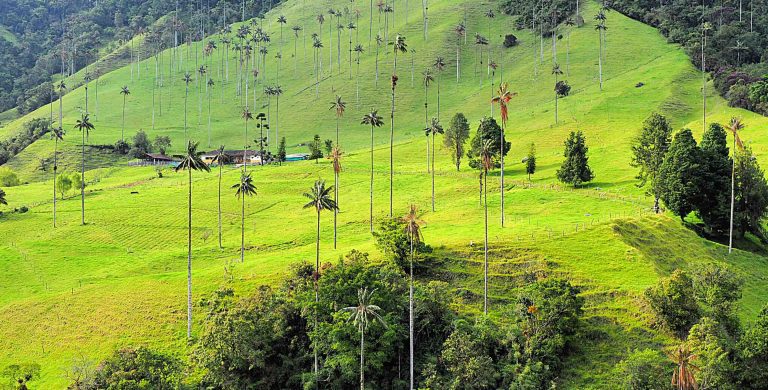 Colombia Family Vacations