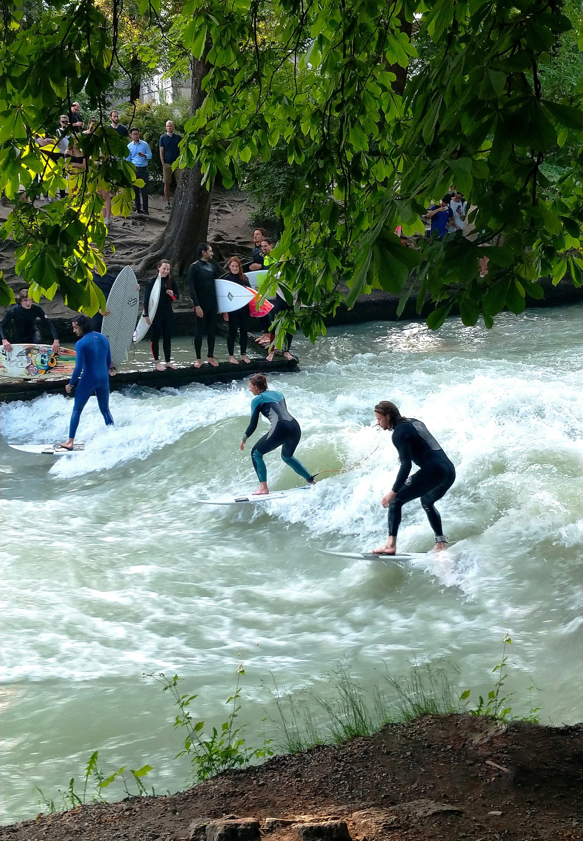 Three people in wetsuits are surfing on a fast-moving river or stream with white water waves, while a crowd of spectators watches from the tree-lined shore. Several onlookers are holding surfboards and standing on what appears to be a concrete or stone embankment beneath large overhanging trees with dense green foliage.