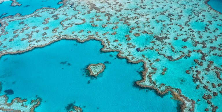 Great Barrier Reef Family Vacations