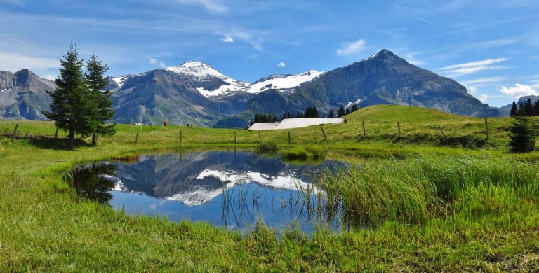 Gstaad Family Vacations