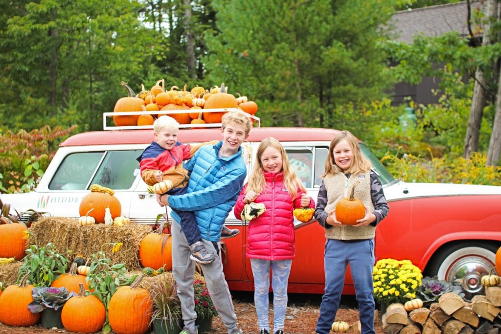 Hidden Pond Family-Friendly Review