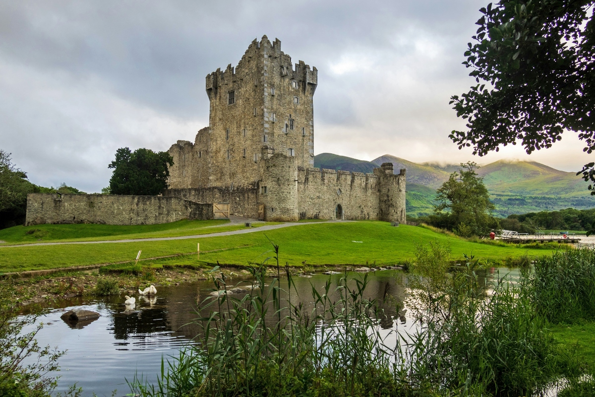 A medieval stone castle with a prominent cylindrical tower and fortified walls sits on expansive green grounds against a backdrop of rolling hills. In the foreground, a calm body of water reflects the overcast sky, with white swans visible on the water's surface and tall reeds growing along the shoreline. The scene is framed by mature trees and showcases the castle's strategic positioning in what appears to be a river valley landscape.