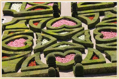 Love Garden Villandry Loire Valley France