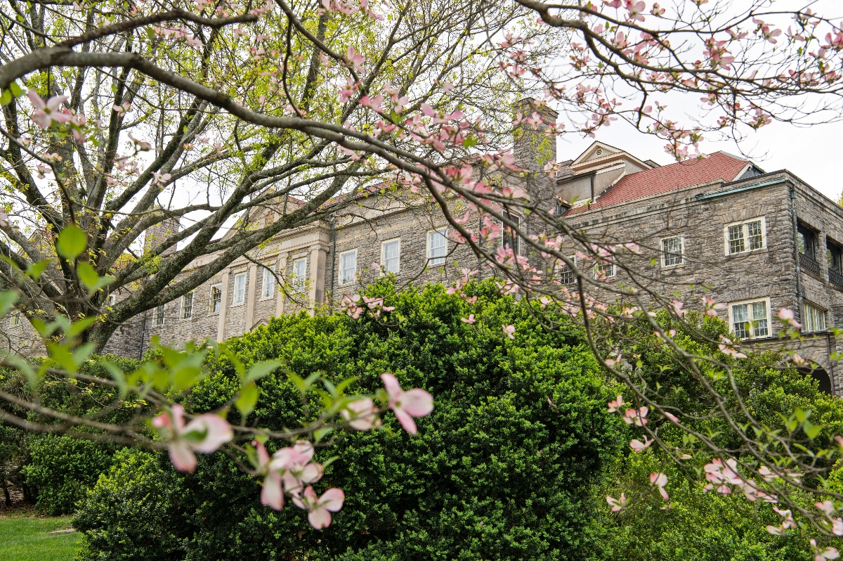 A historic gray stone building with white-trimmed windows and a red tile roof sits behind manicured green hedges and a lawn. Tree branches frame the view in the foreground, displaying pink spring blossoms and fresh green leaves against an overcast sky.