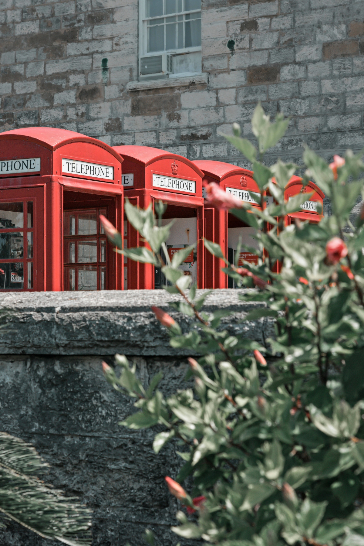 A row of red telephone booths with "TELEPHONE" signs stands against a weathered limestone block wall with a white-framed window. Green foliage appears in the foreground, partially out of focus, while the telephone booths are positioned behind a low stone wall or ledge.