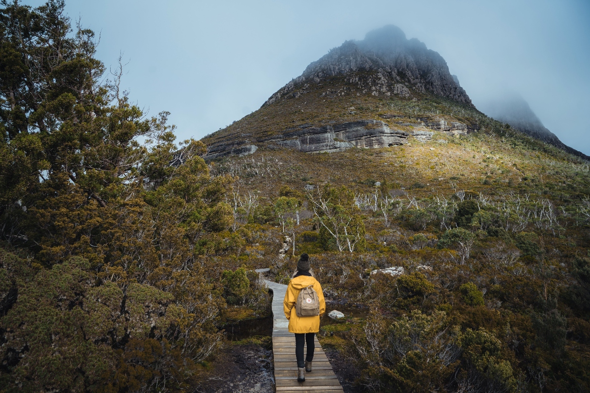 A hiker wearing a bright yellow jacket and backpack walks along a wooden boardwalk through alpine scrubland, with low-growing native shrubs and scattered bare trees on either side. A dramatic mountain peak rises in the background, its upper slopes shrouded in low-hanging clouds or mist. The rugged wilderness landscape features typical subalpine vegetation under an overcast sky.
